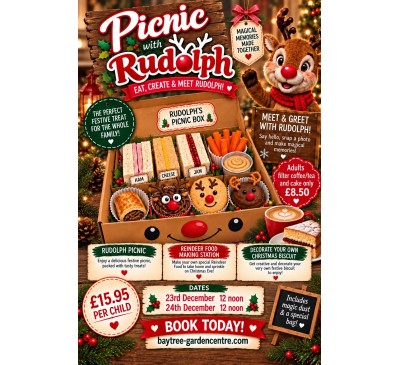 Picnic With Rudolph - 23rd December 12pm